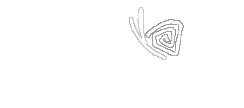 bigsnail